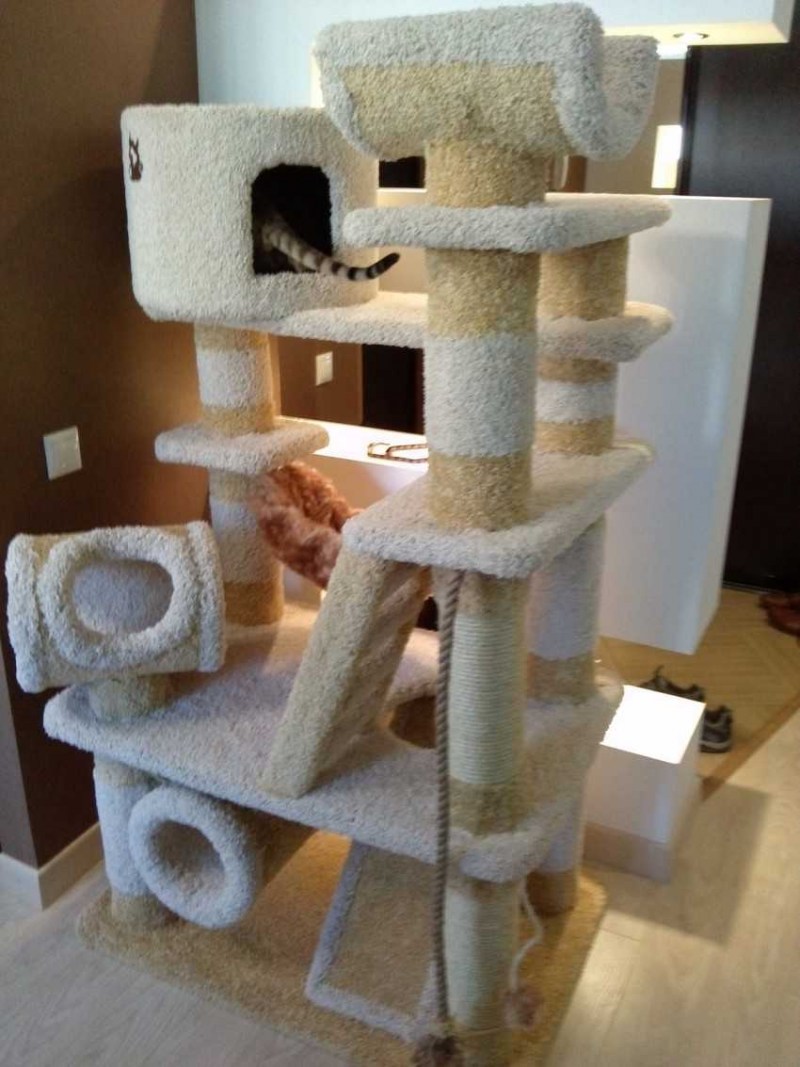 Кошачий домик