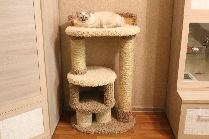Домик для кошек