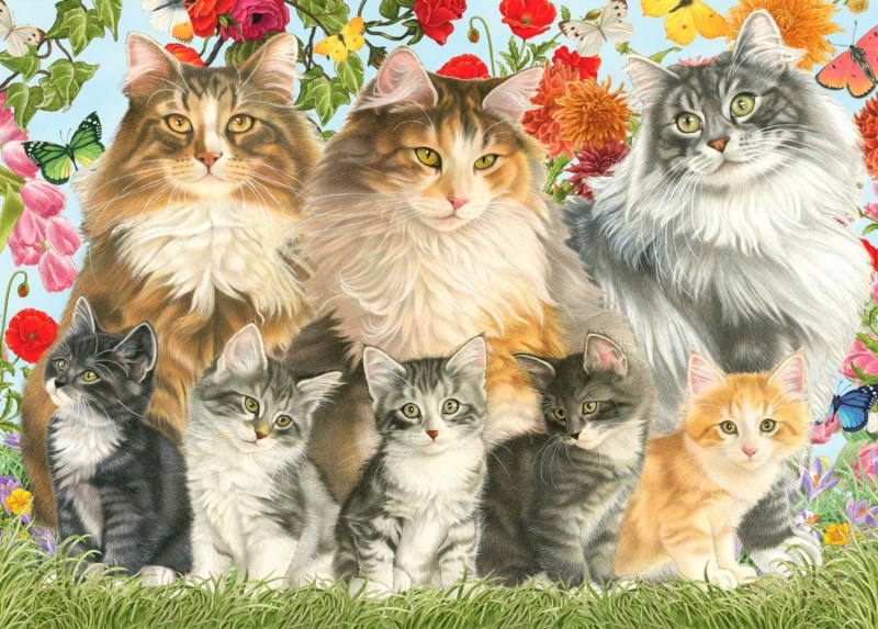 Семья кошек