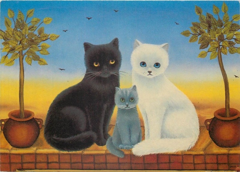 Кот кошка и котенок семья