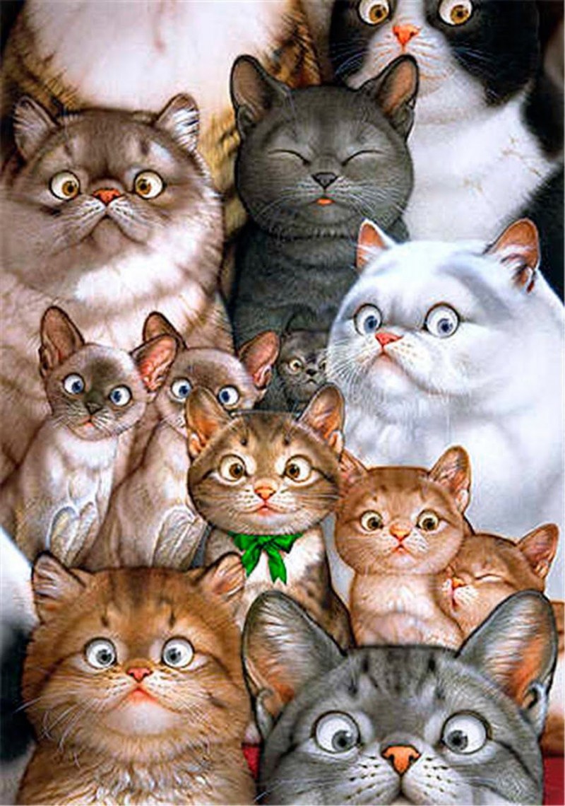 Коты Макото Мурамацу
