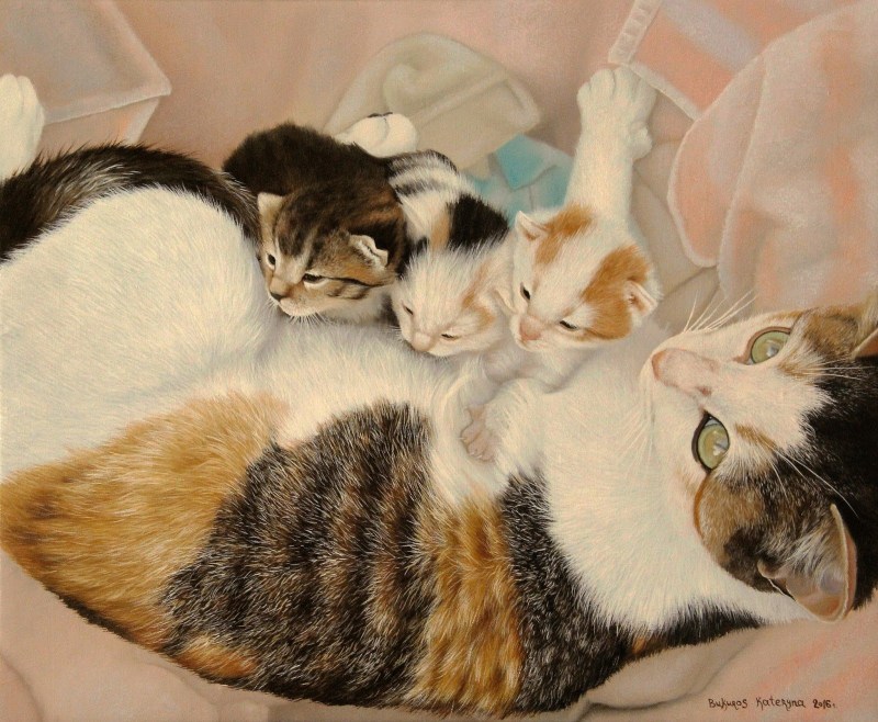 Кошачья семейка