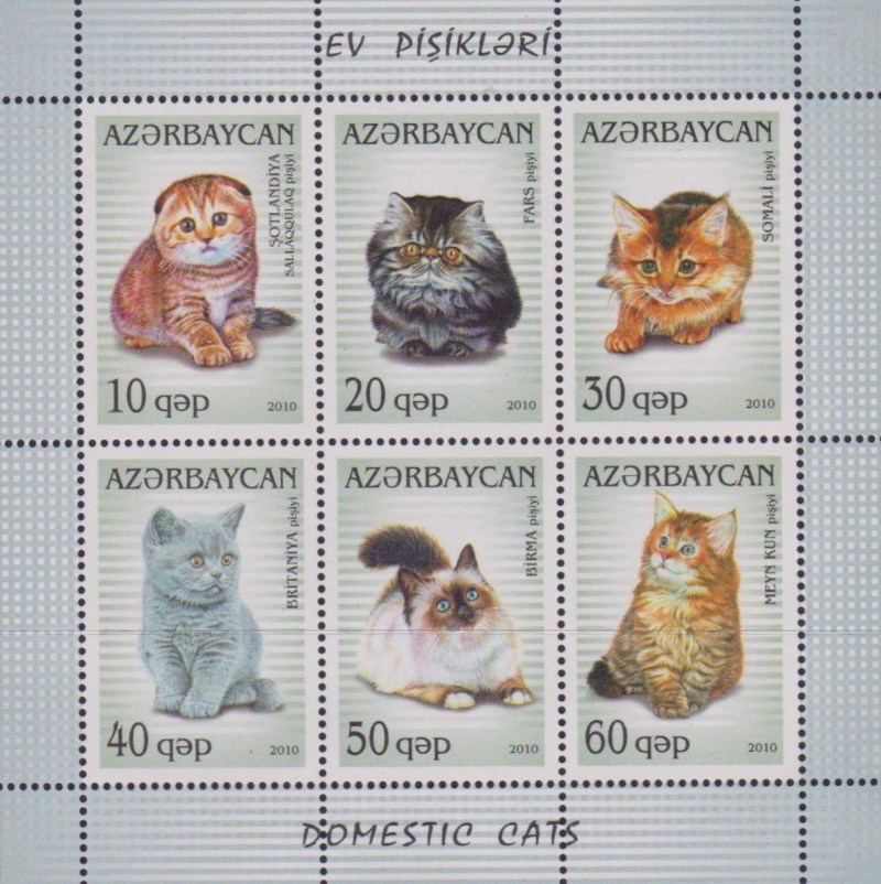 Марки Дикие кошки