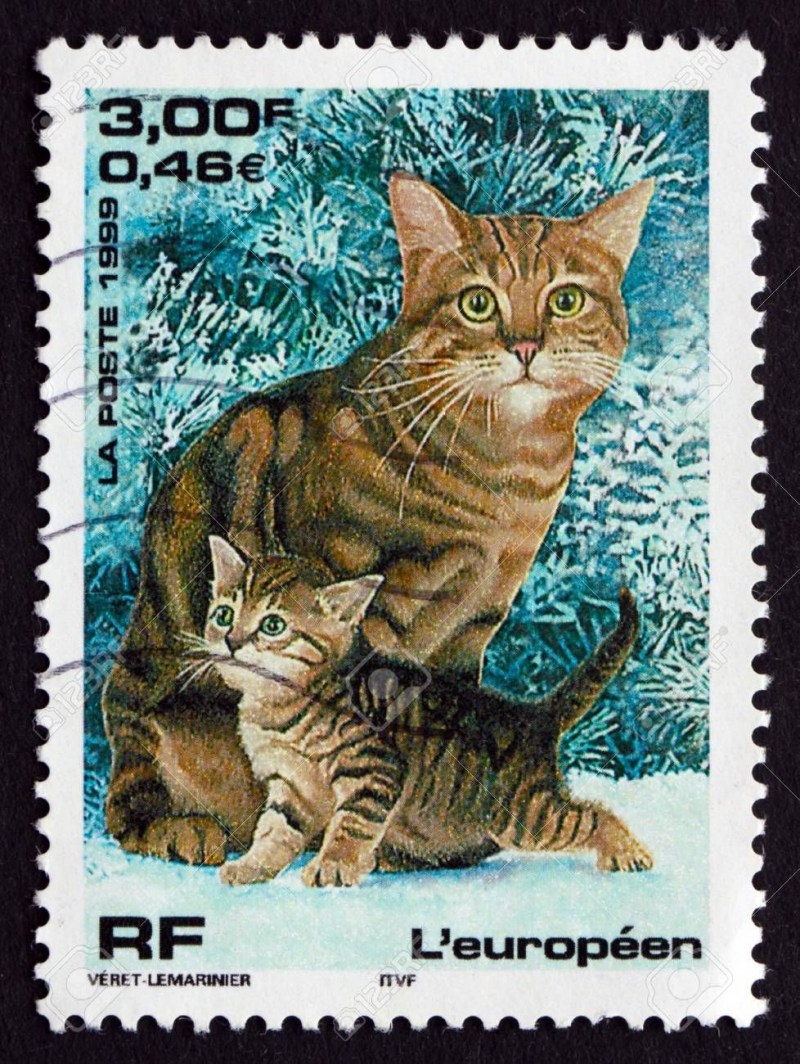 Марки с котами