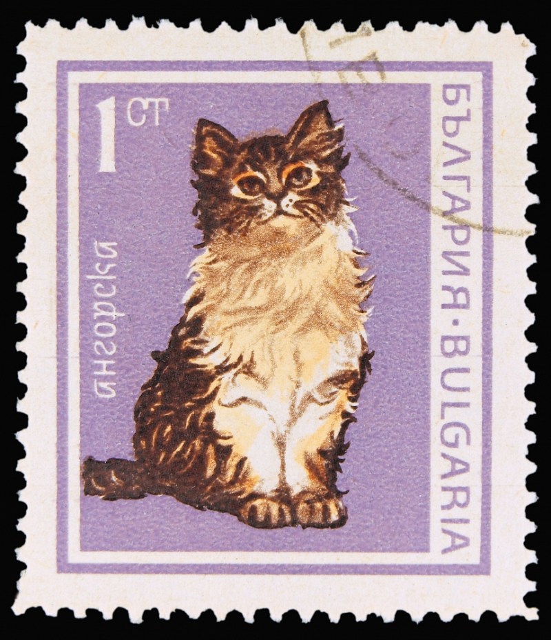 Почтовая марка с котами