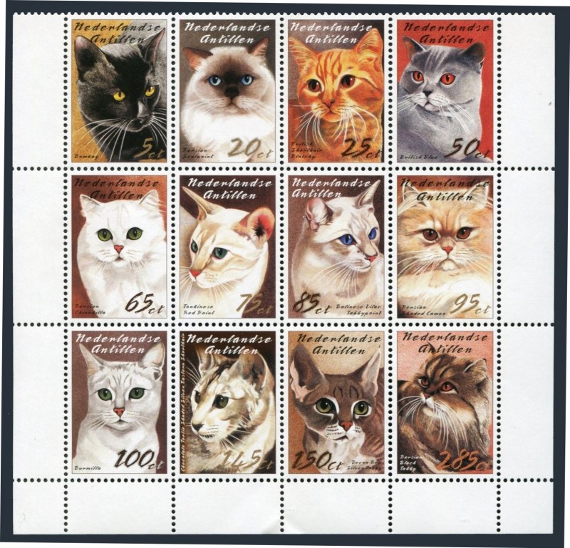 Гайана 1992 коты блок