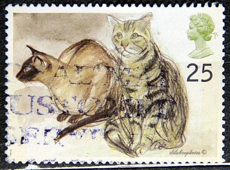 Марки с кошками