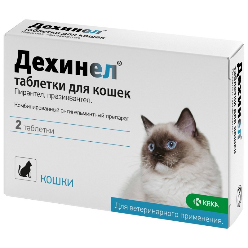 Veda кот Баюн