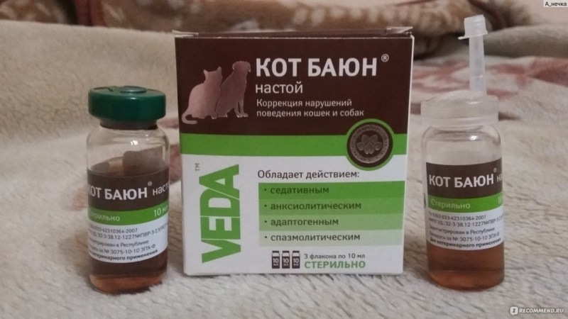 Кот Баюн настой