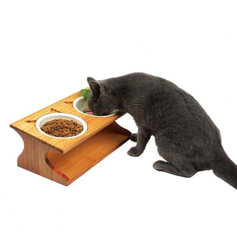 Trixie Cat activity