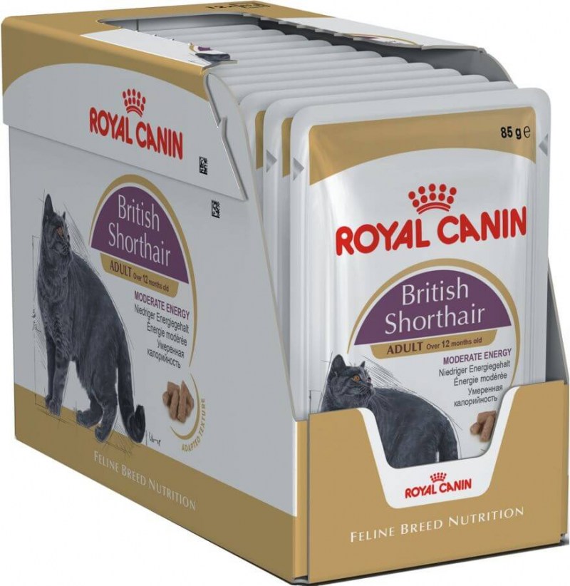 Royal canin для британских кошек