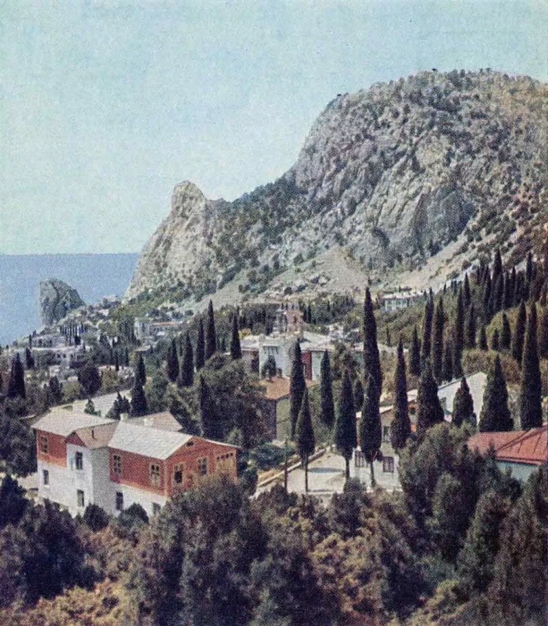 Ялта гора кошка