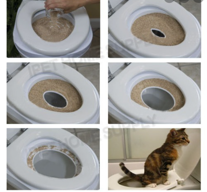 Кошачий лоток с какашкой