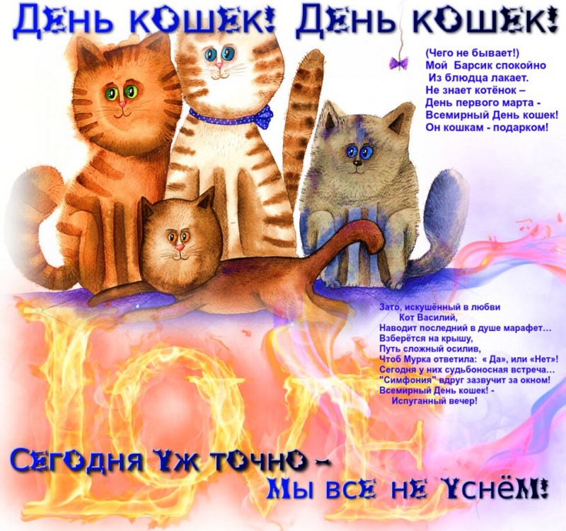 День кошек
