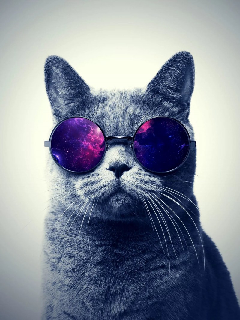 Кот в очках космос
