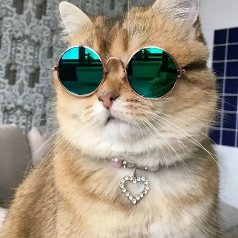От в очках