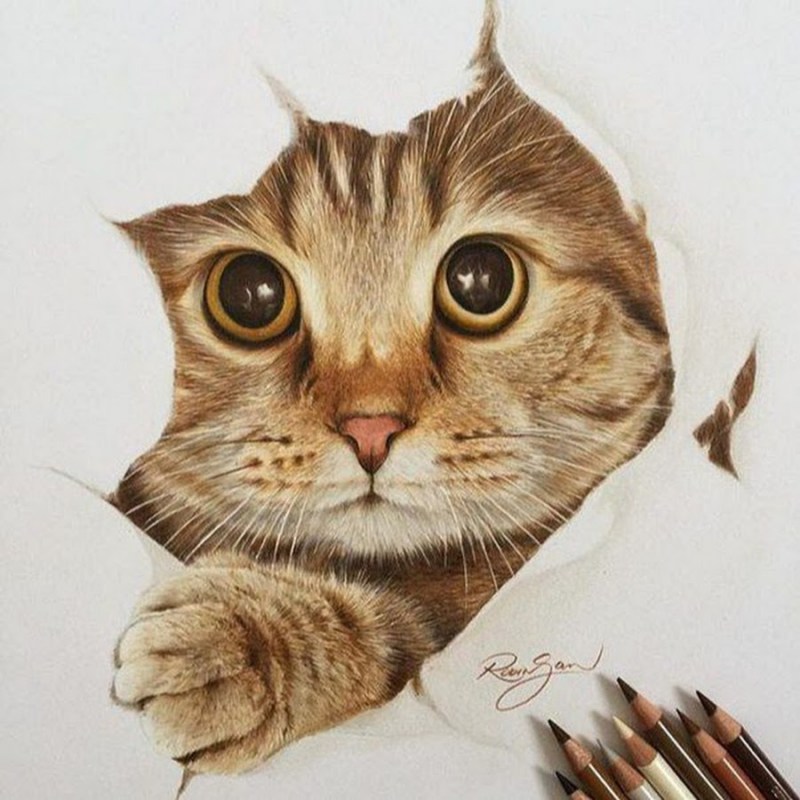 Кошка цветными карандашами