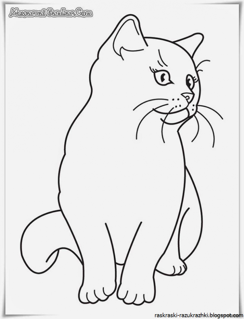 Кошки. Раскраска