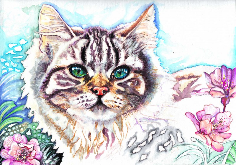 Кочка рисунок