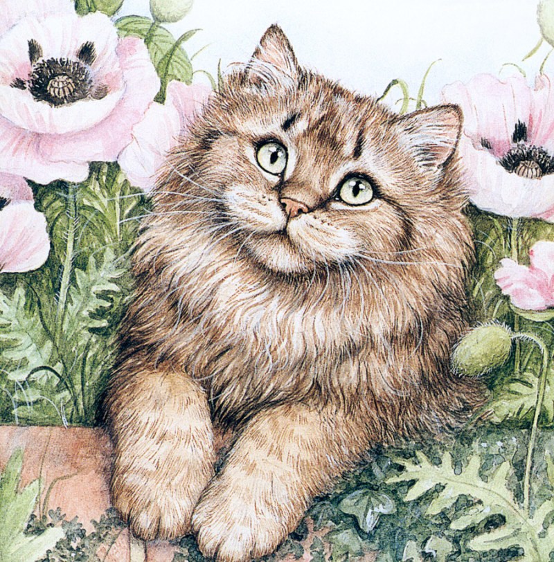 Коты Дебби Кук