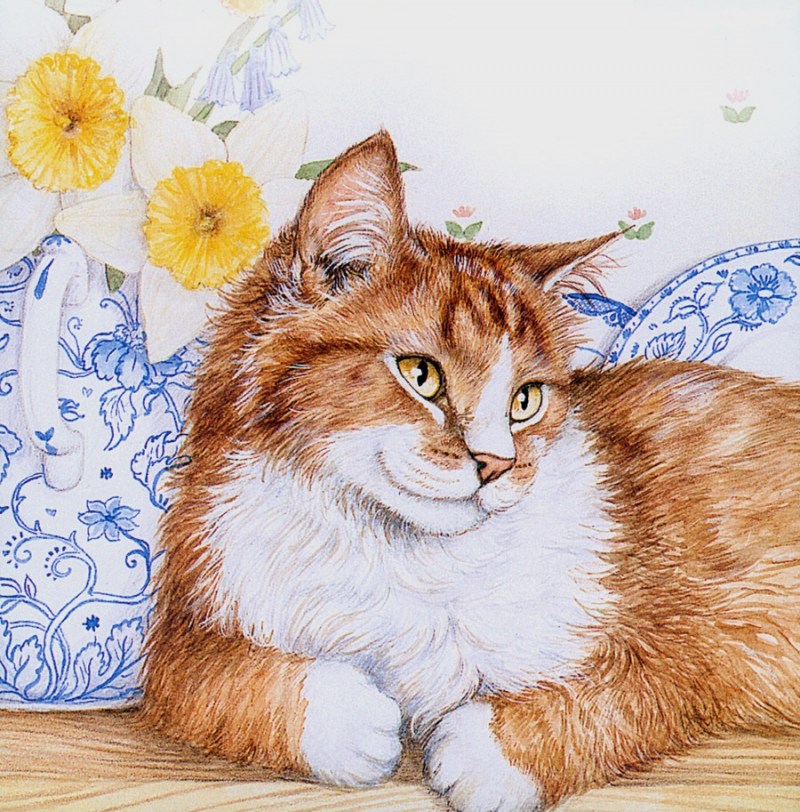 Коты Дебби Кук