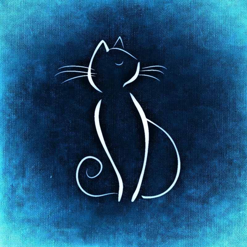 Рисуем кошку
