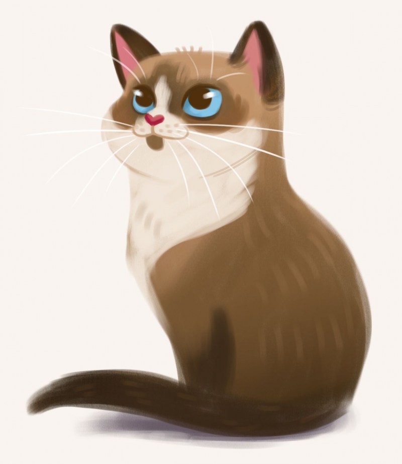 Кошка в иллюстраторе