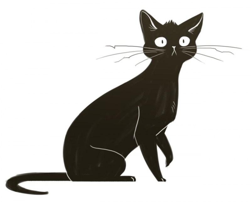 Черная кошка рисунок