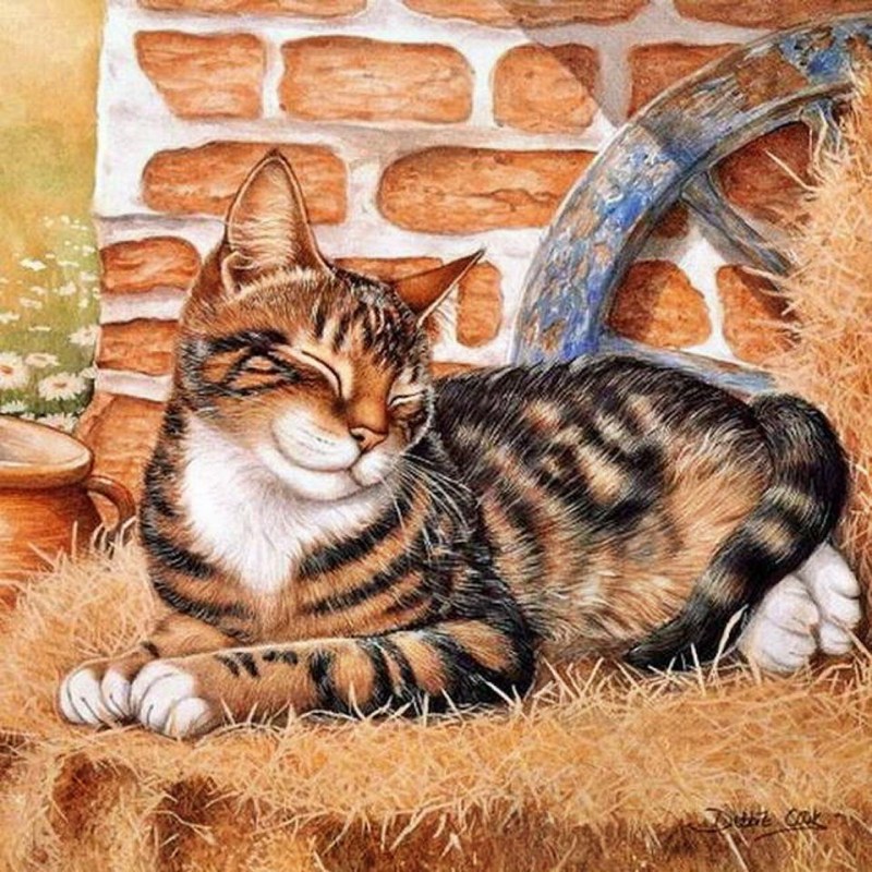 Художник Дебби Кук