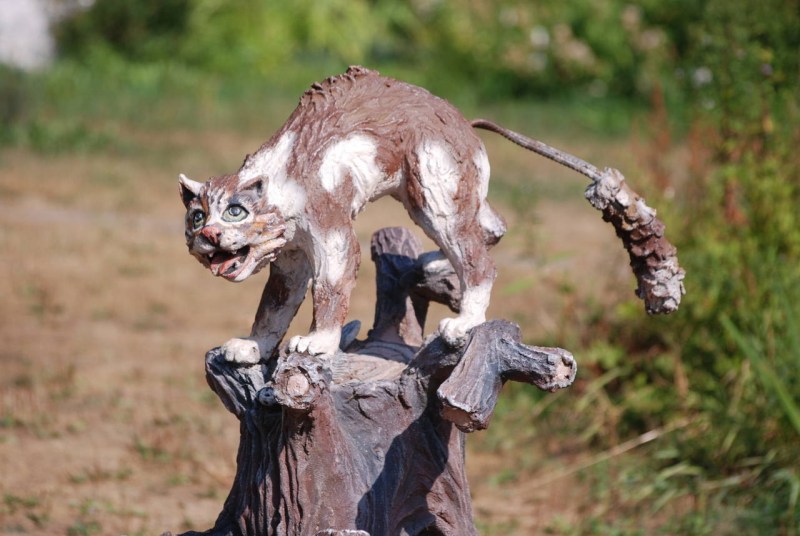 Драный кот