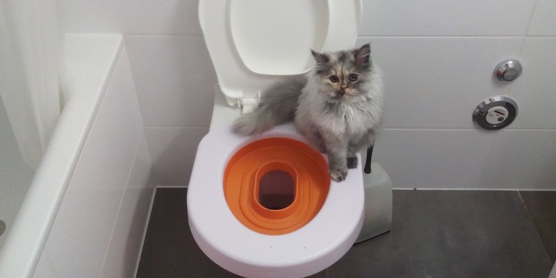 Много котов в ванне