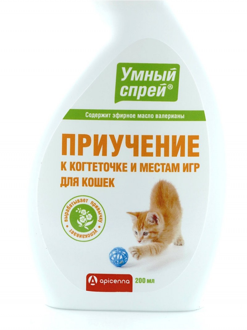 Приучаем котенка к когтеточке