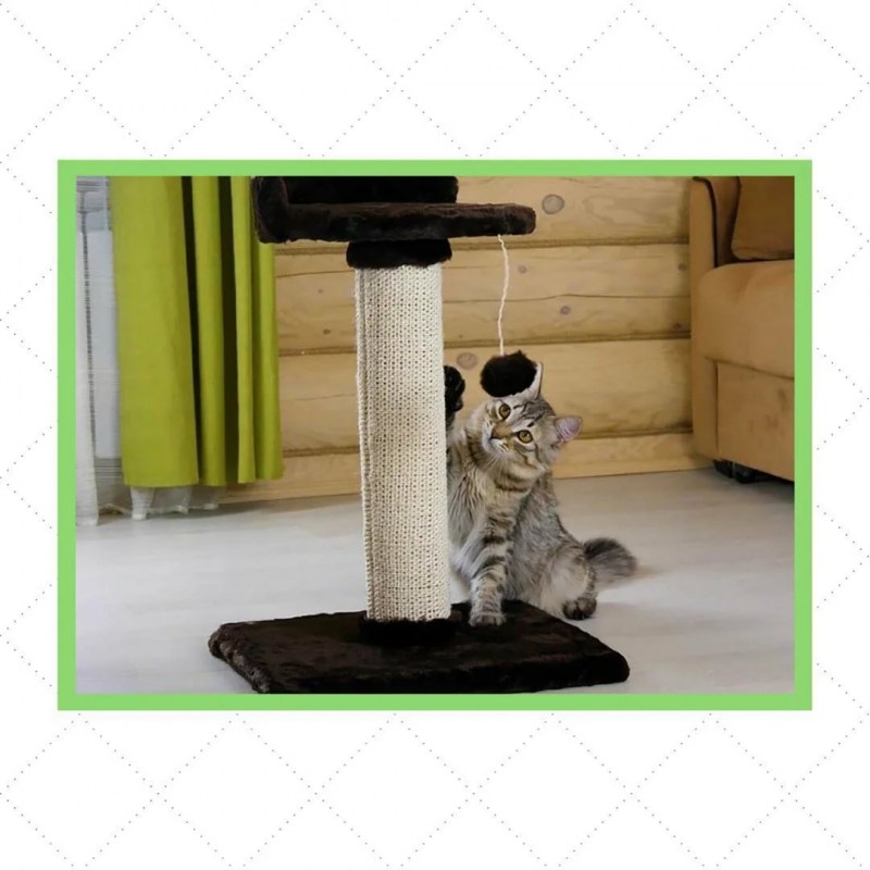Кошка дерет когтеточку