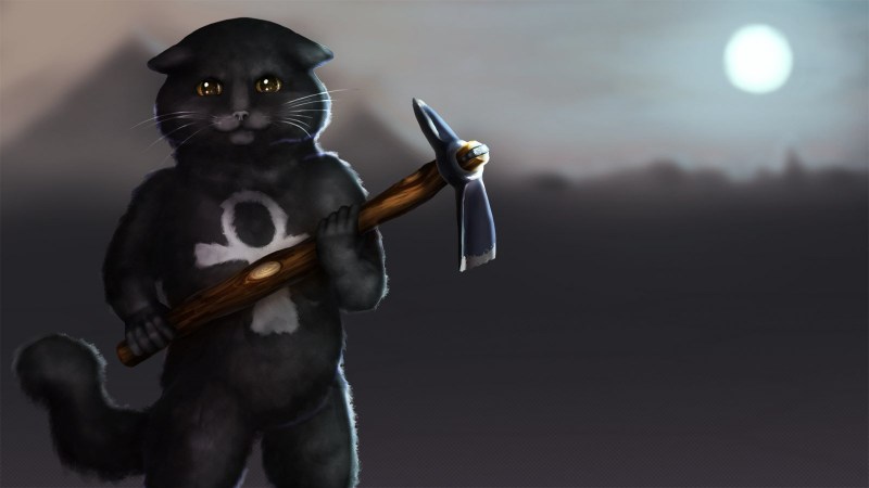 Кот Шахтер