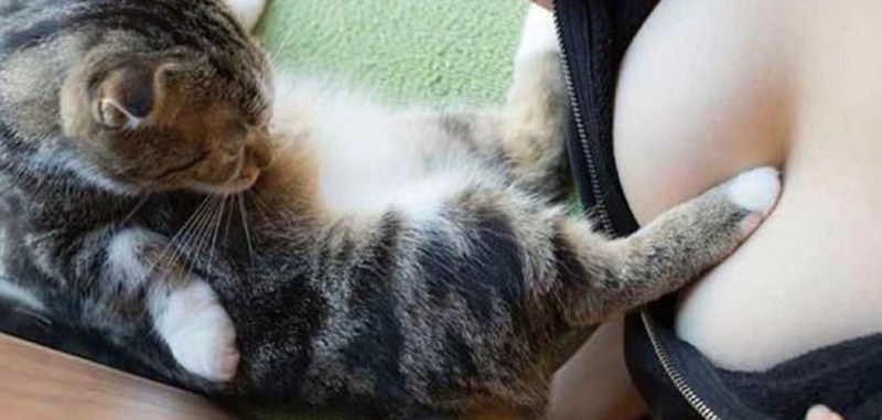 Кот спит с хозяйкой