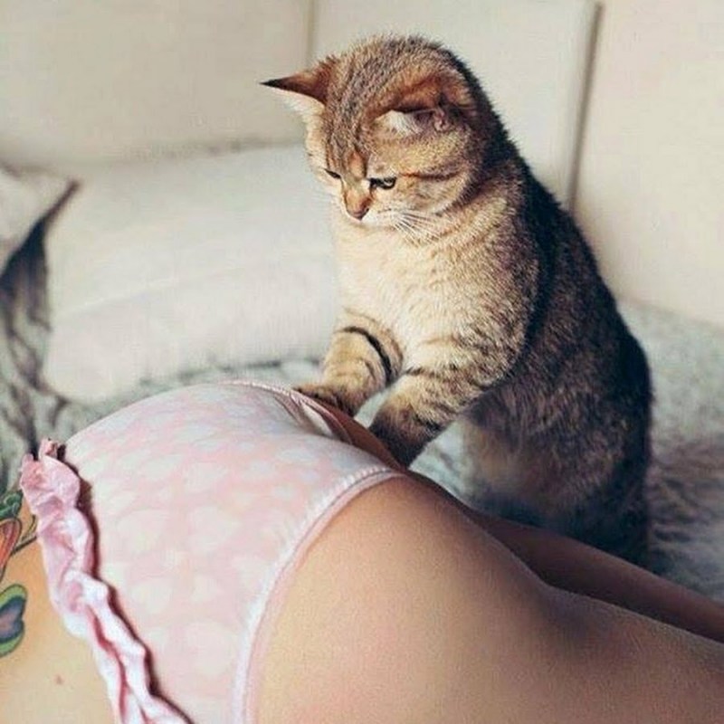 Домашние киски девушек