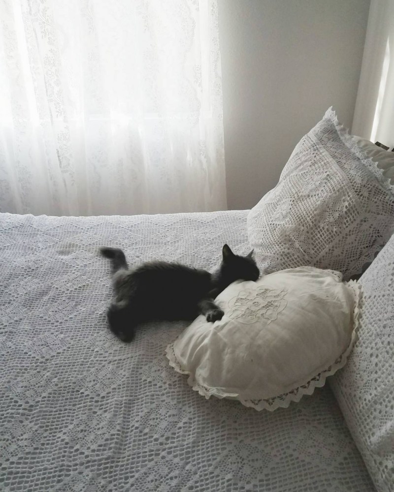 Кровать для кота