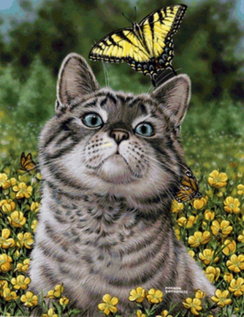 Коты и бабочки