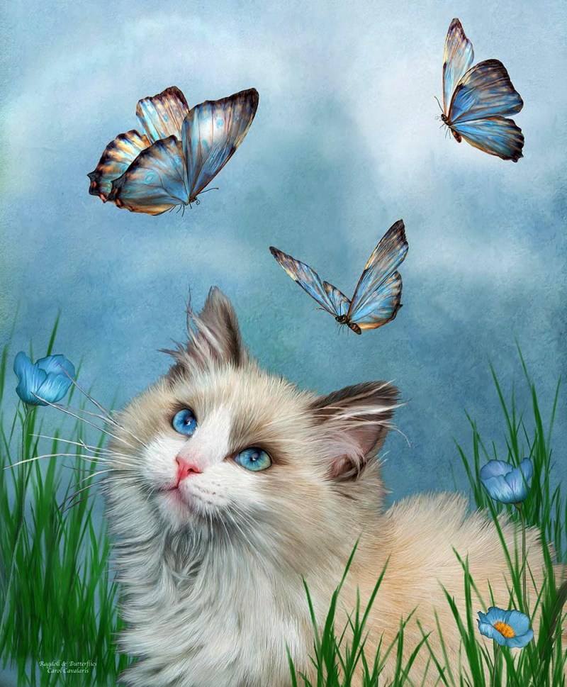 Carol Cavalaris картины кошки