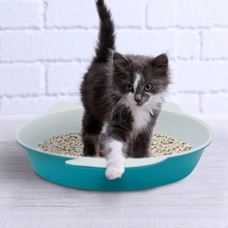 Приучить кота к лотку