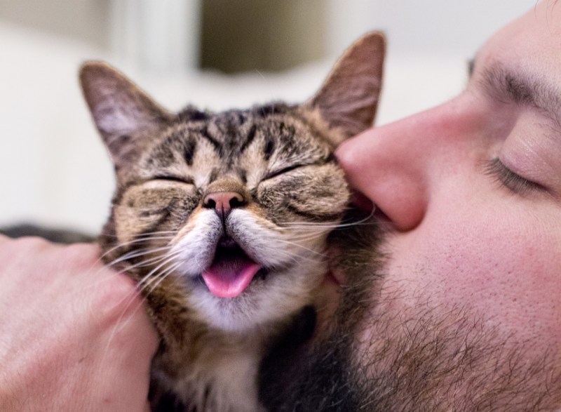 Мужик обнимает кота