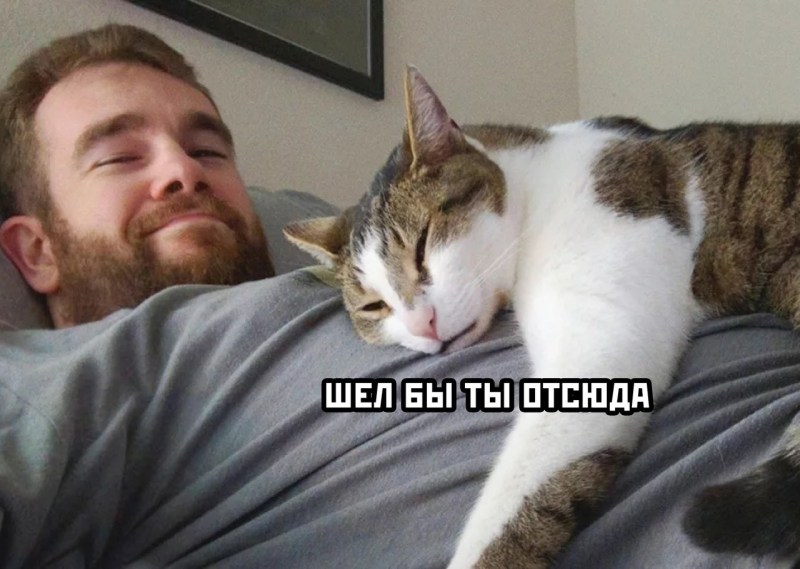 Котик лежит с хозяином
