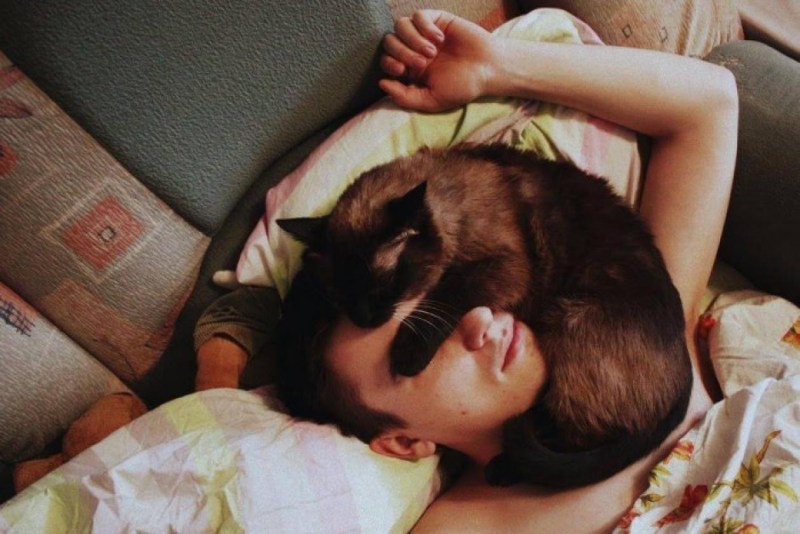 Кошка спит на человеке