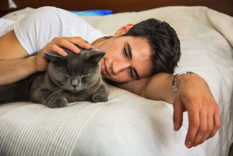 Спящий парень и кот