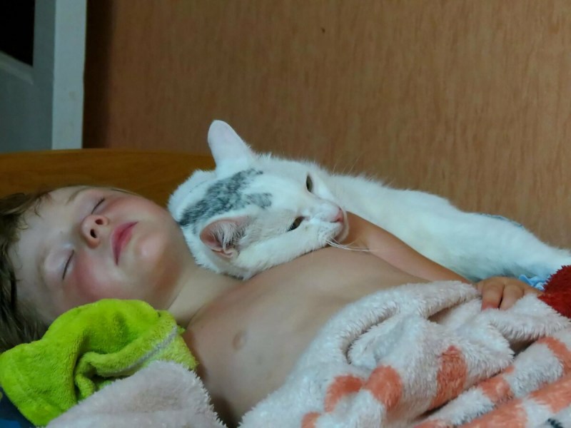 Мальчик спит с котом