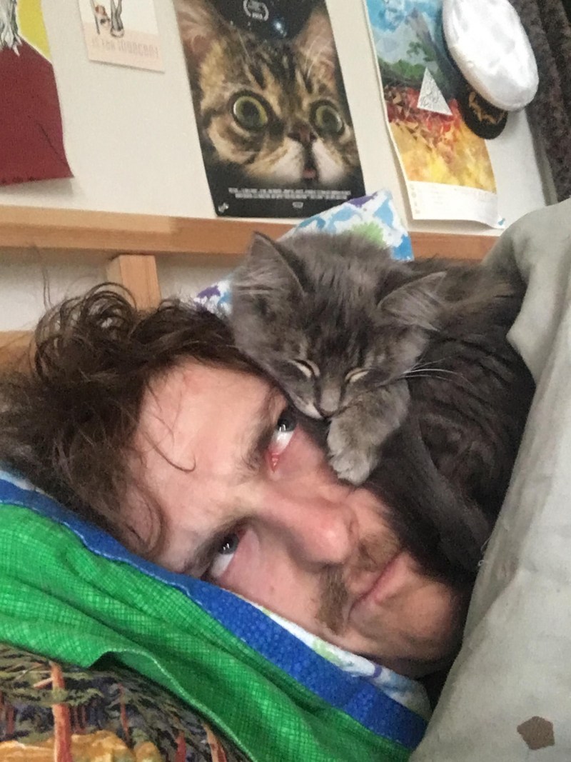 Кот спит на лице