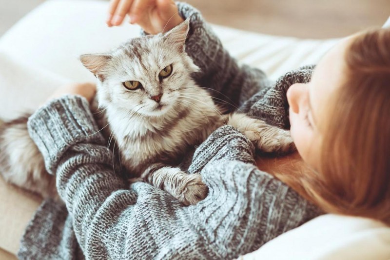 Девушка гладит кота