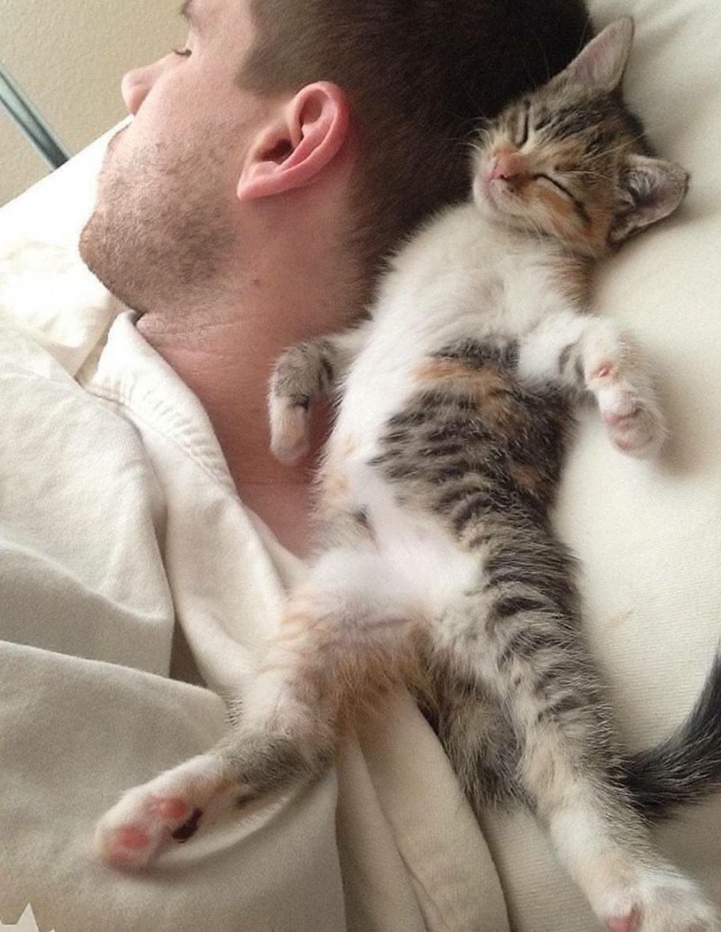 Мужчина обнимает кота