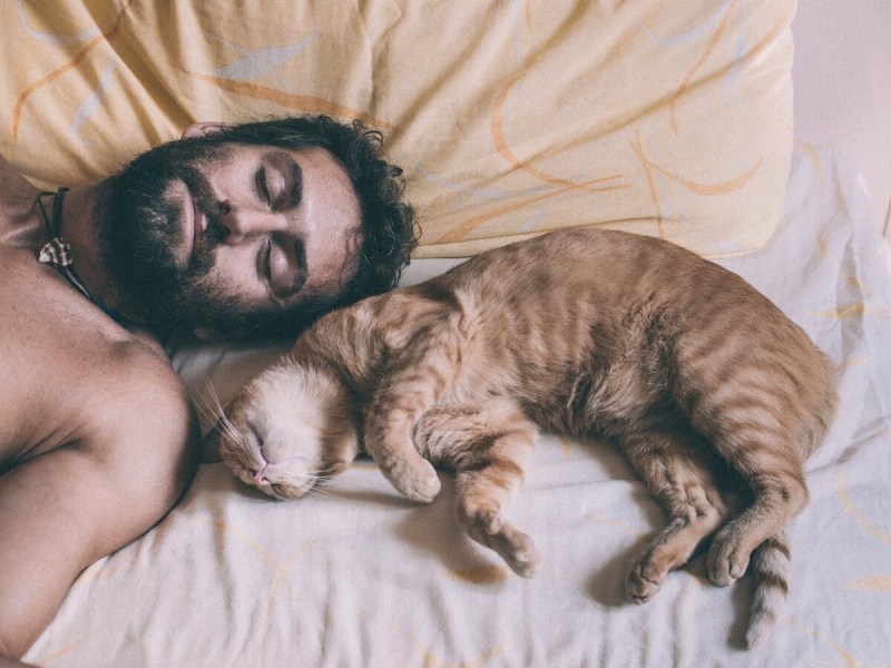 Мужчина с кошкой