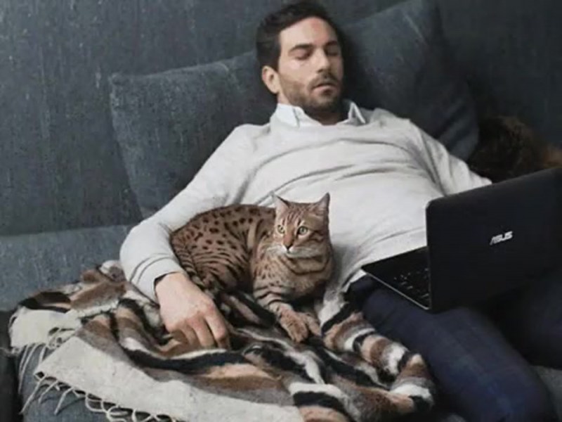 Ноутбук мужчина с котом